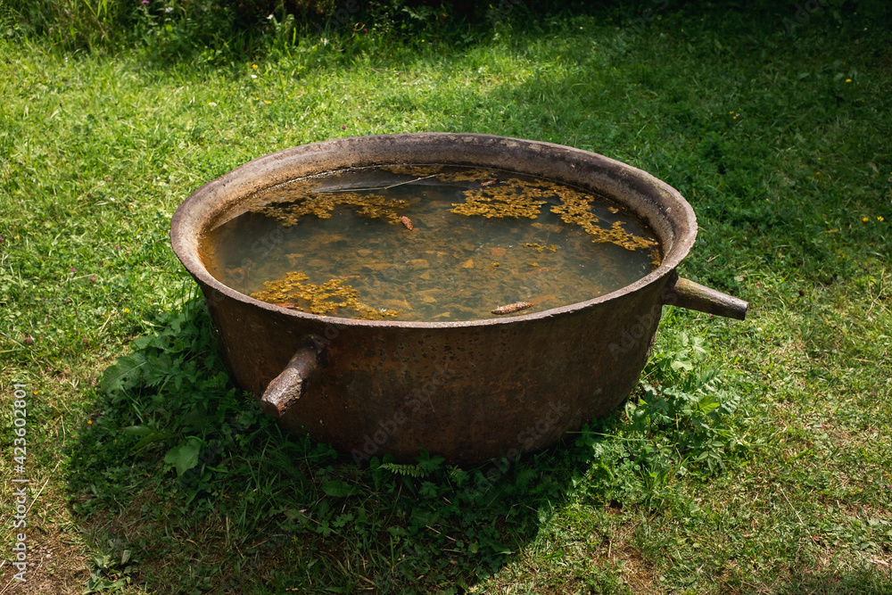 An old rusty tub filled with water An old rusty tub filled with water