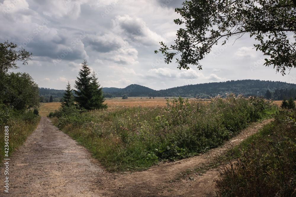 Obraz premium Crossroads of dirt roads in the Bieszczady National Park, Poland