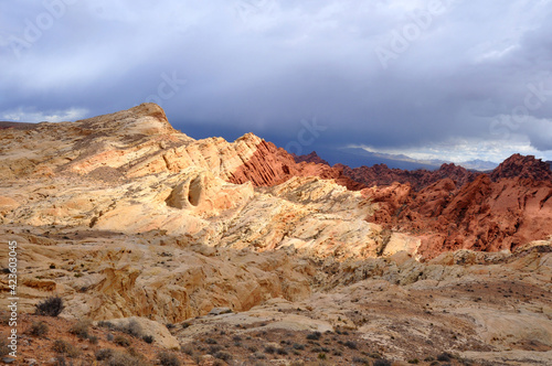 desert landscape  hiking trails.
