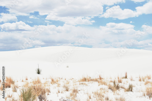 Blinding Dunes at White Sands National Park
