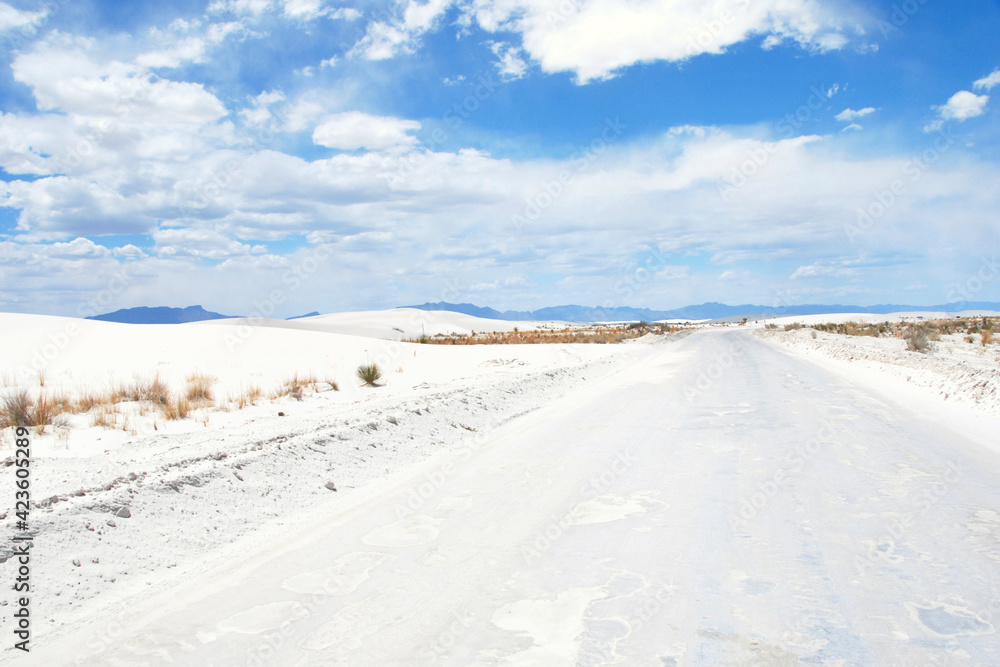 Dirt road at White Sands National Park