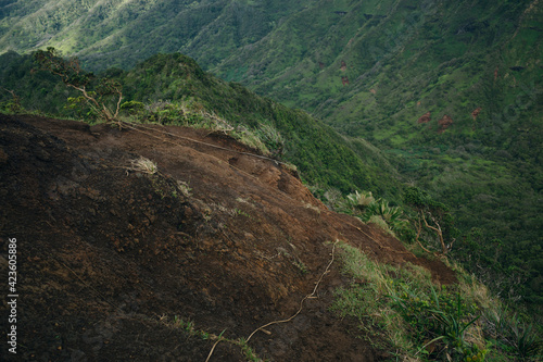 Dirt trail on start of the Moanalua Valley Trail. photo