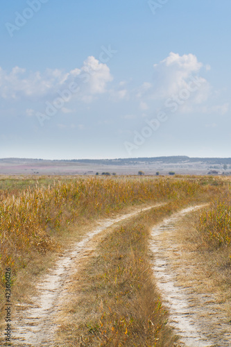 Curved road between low yellow vegetation