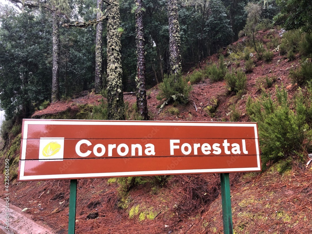 Forest sign