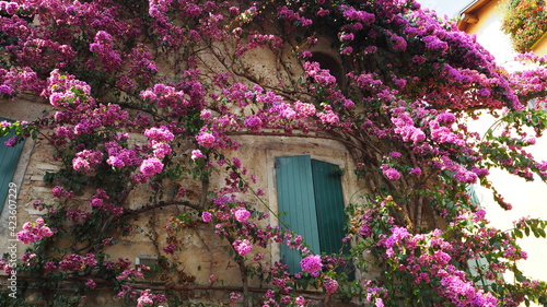 old house with flowers