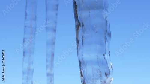 Icicles Melting on Sunny Spring Day Close-Up photo