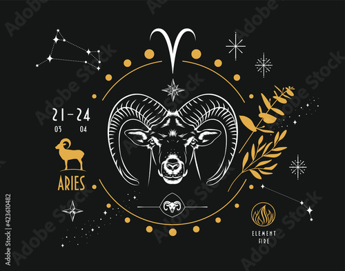 The astrological sign of the zodiac is Aries. Realistic hand drawing of a ram's head or mouflon on a dark background. Zodiac characteristic