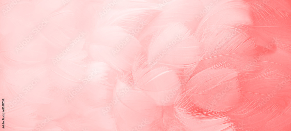 Pink fluffy bird feathers. Beautiful fog. A message to the angel. Banner. The texture of delicate feathers. soft focus