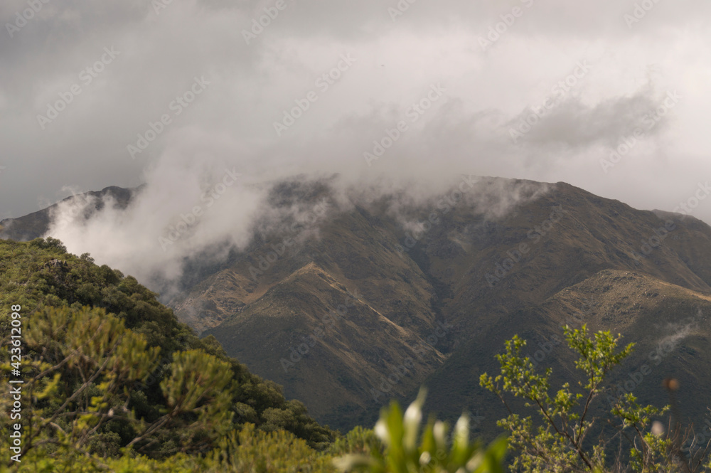 landscape with clouds