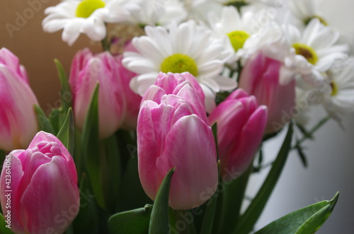 pink tulips and white daisies