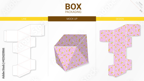Box packaging and mockup die cut template