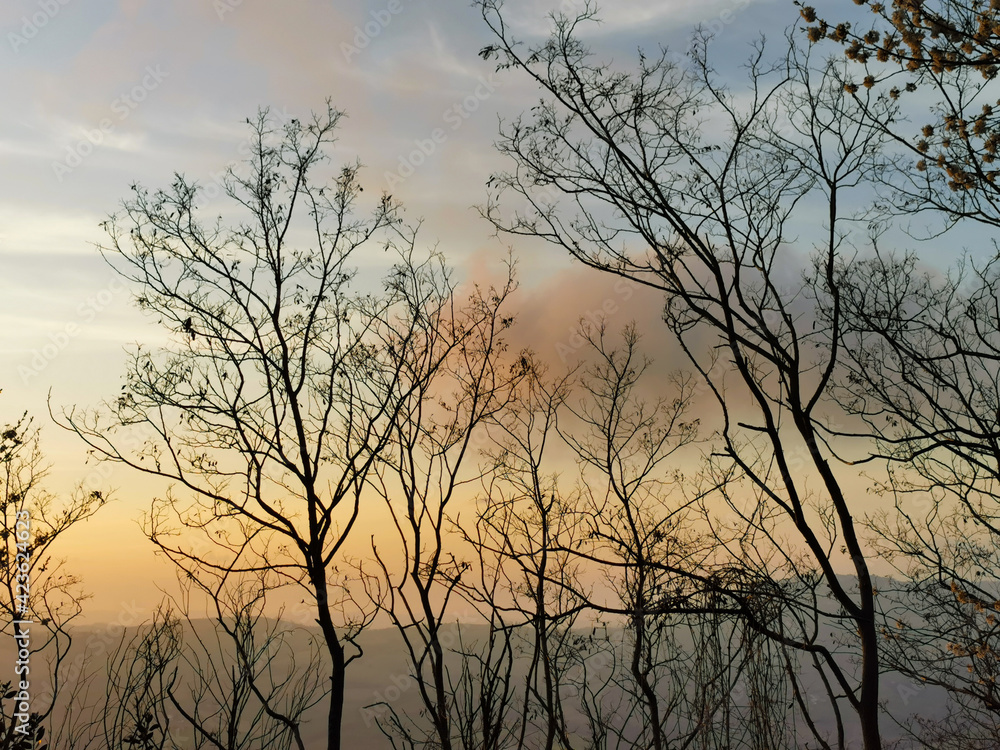 Obraz premium Tramonto sui monti e le colline dell’Appennino visto da dietro ai rami degli alberi 