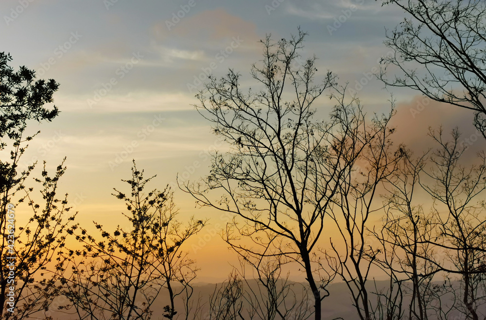 Tramonto sui monti e le colline dell’Appennino visto da dietro ai rami degli alberi 