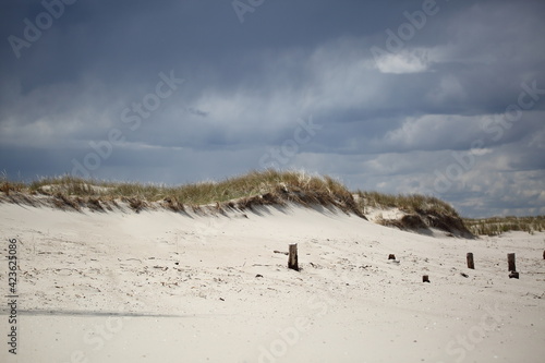 Fototapeta Naklejka Na Ścianę i Meble -  sand dunes on the beach