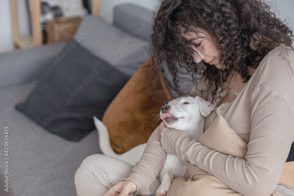 Young curly woman chatting surfing internet use smartphone on couch with dog Jack Russell Terrier