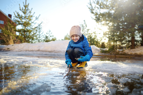 Fototapeta Naklejka Na Ścianę i Meble -  Cute preschooler boy is playing with a stick in brook on sunny day. Child having fun and enjoy a big puddle. All kids love play with water. Happy childhood. Outdoor activity for baby in sping