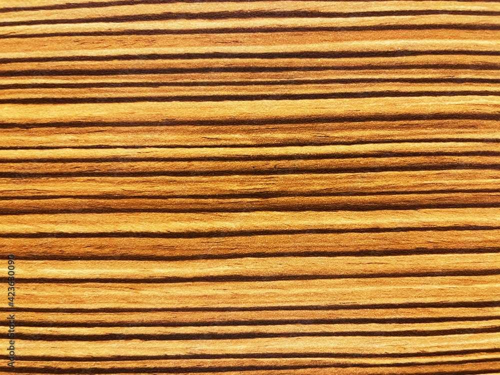Golden Brown Horizontal lines close up view Golden Brown Horizontal lines close up view