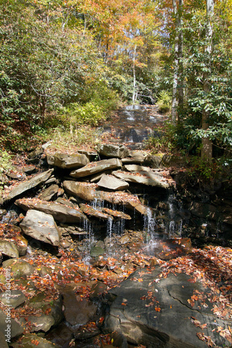 Mountain Springwater Trickles Down a Rocky Hill in Sunny Autumn Woods