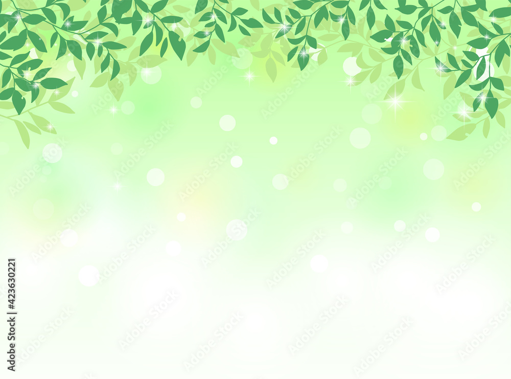 新緑　葉　背景