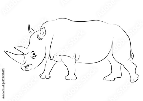 rhino illustration