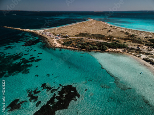 Принти на полотні Diving Woodman Point Reef In Coogee, Western Australia