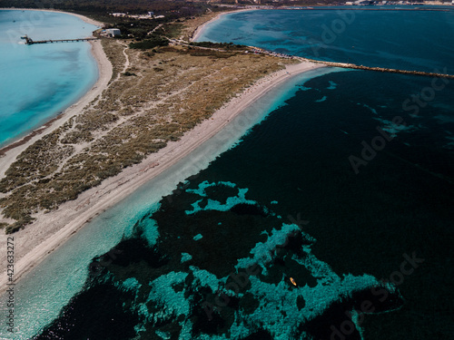 Photos Diving Woodman Point Reef In Coogee, Western Australia