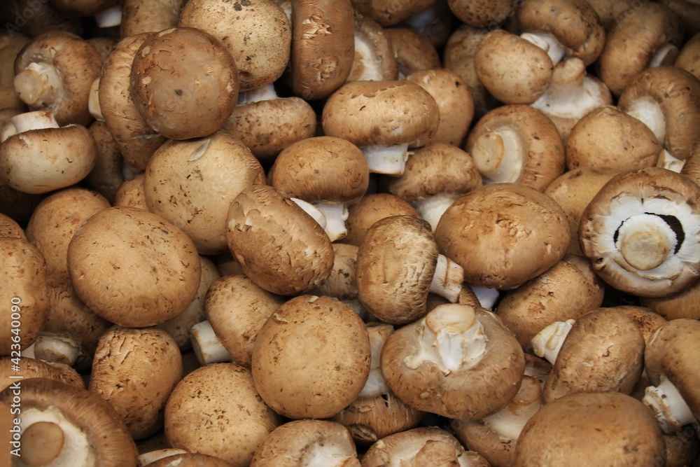 Pile of Brown Cremini Mushrooms Pile of Brown Cremini Mushrooms