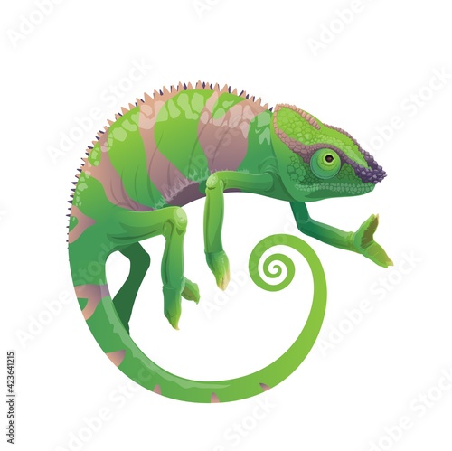 Chameleon vector icon, cartoon lizard with green skin and stripes, long curvy tail and telescopic eyes. Wild animal, pet reptile, exotic chameleon tropical creature, isolated on white background,