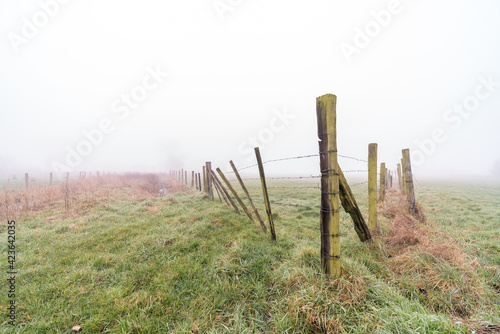 fences of a meadow in the fog