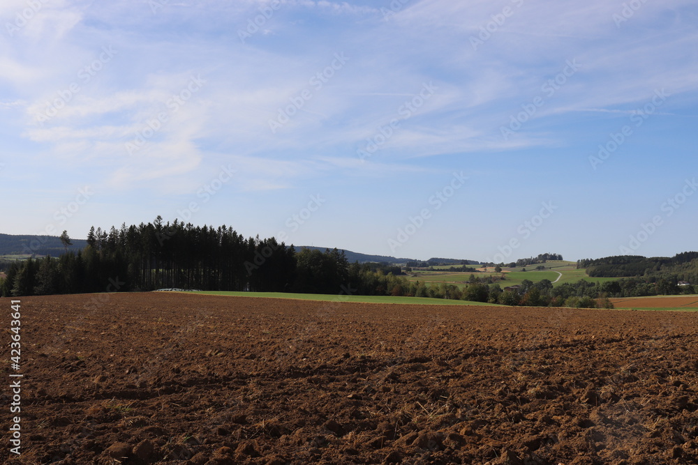 Ausblick über einen frisch gepflügter Acker großer gepflügt Erde pflügen