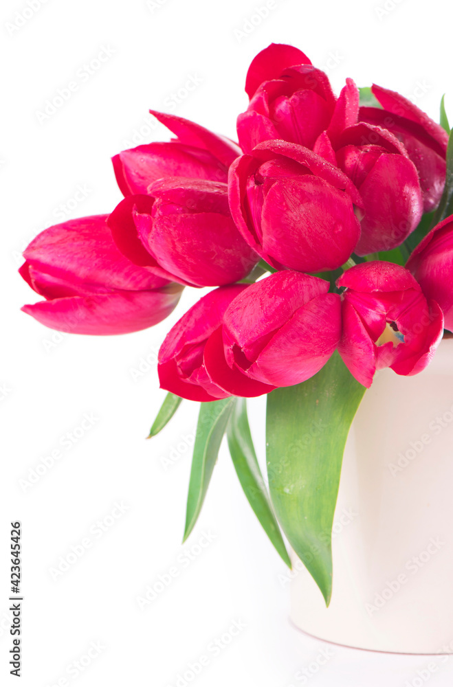 Fototapeta premium Bouquet of pink tulips on a light background