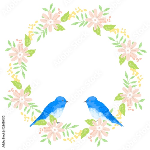 Fototapeta Naklejka Na Ścianę i Meble -  優しいタッチの幸せを運ぶ青い鳥とミモザリースイラスト