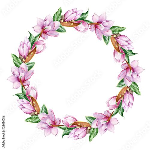 Magnolia flower wreath. Watercolor illustration. Tender pink magnolia flowers in round decoration. Elegant wreath from spring blossoms with green leaf. On white background