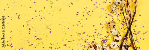 фотографія The beautiful easter composition of the willow branches and quail eggs on the yellow background with the purple blue dried petals of the everlasting flower and the copy space for your text, banner