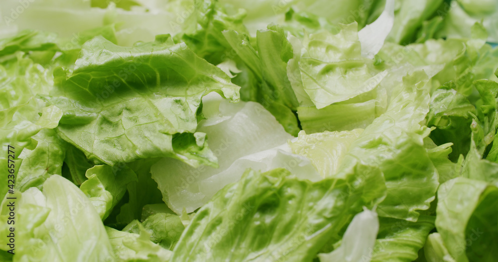 Fresh raw green lettuce salad Fresh raw green lettuce salad