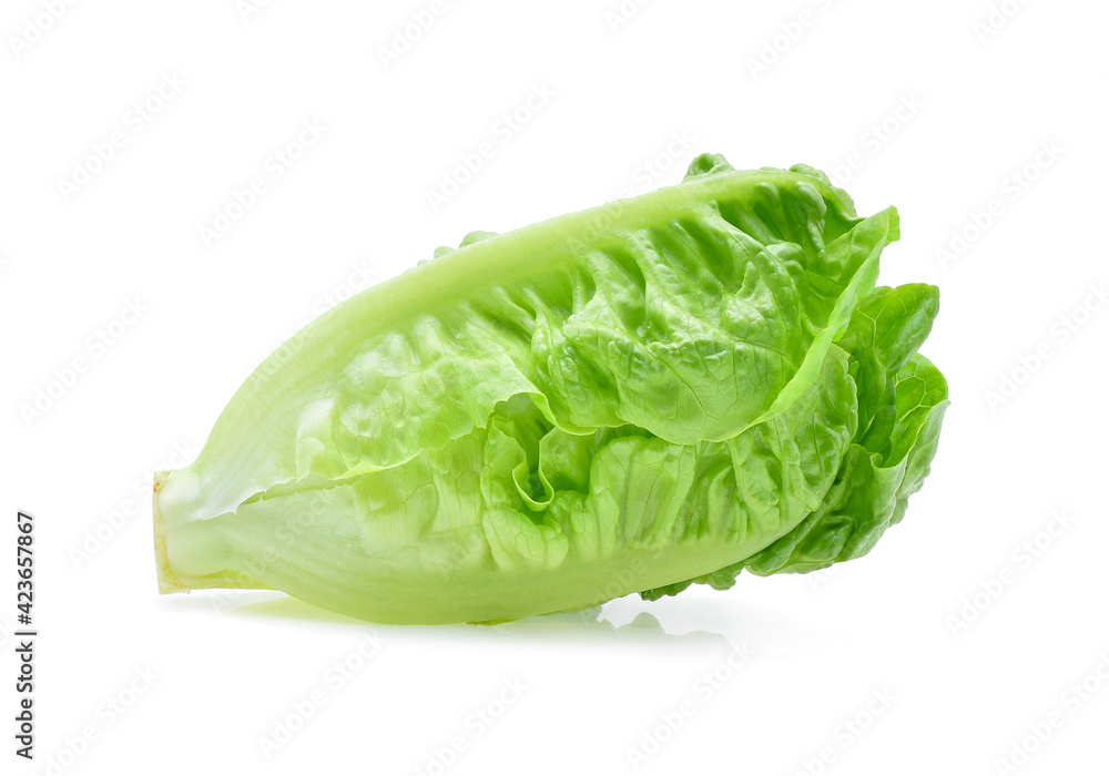 fresh baby cos (lettuce) on white background fresh baby cos (lettuce) on white background