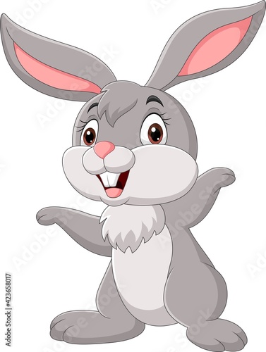 Cartoon funny rabbit isolated on white background
