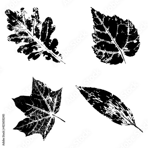 Ink print leaves. Black ink prints of leaves of trees and bushes