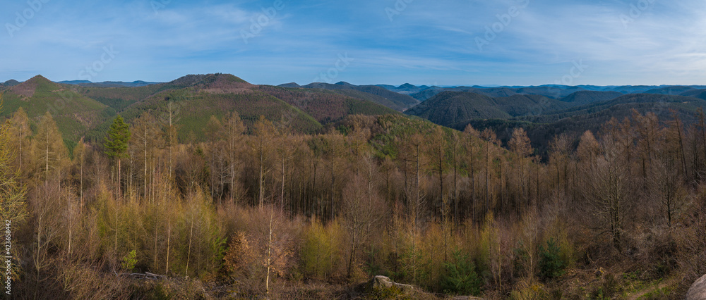 Panoramic view on the Palatinate Forest as seen from the Kirschfelsen near Annweiler in Germany.