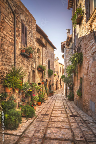 Spello picturesque street and plants. Perugia, Umbria, Italy. © stevanzz