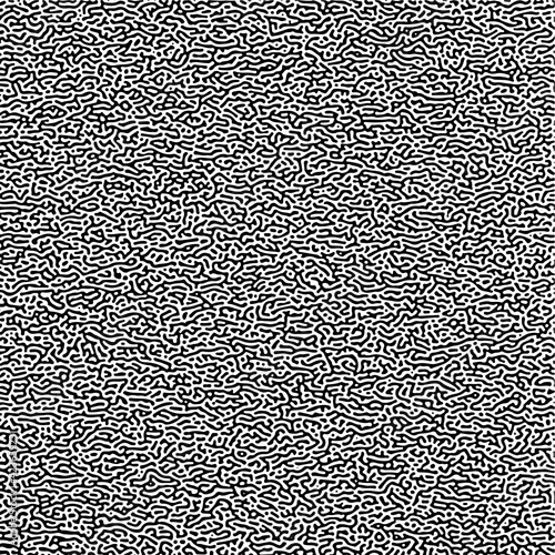 Canvas Print Cyclic Symmetric Multiscale Turing Pattern. Monochrome texture