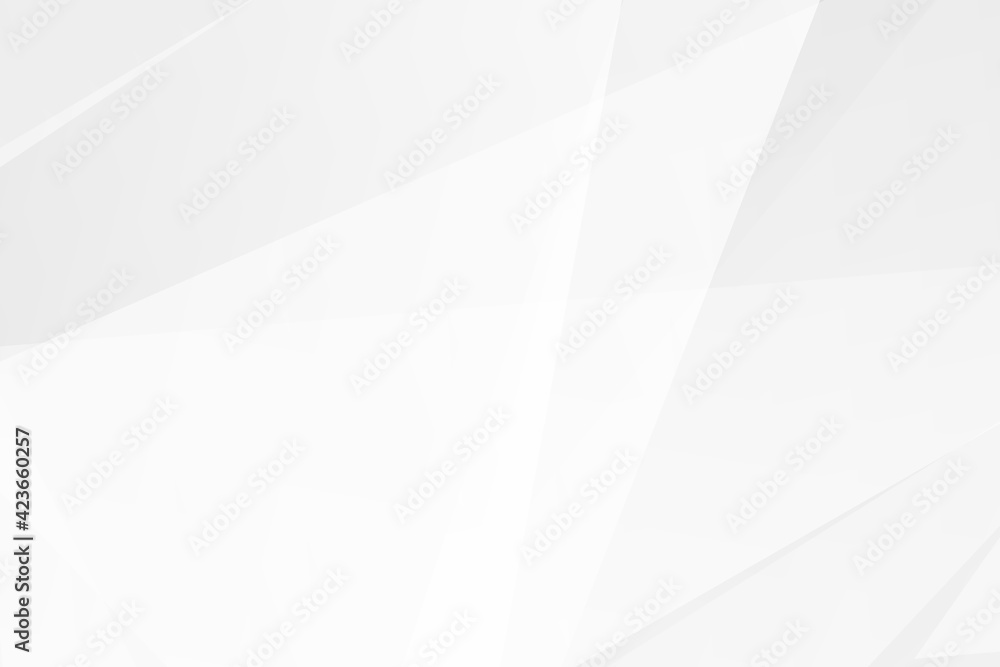 Obraz premium Abstract white and grey on light silver background modern design. Vector illustration EPS 10.