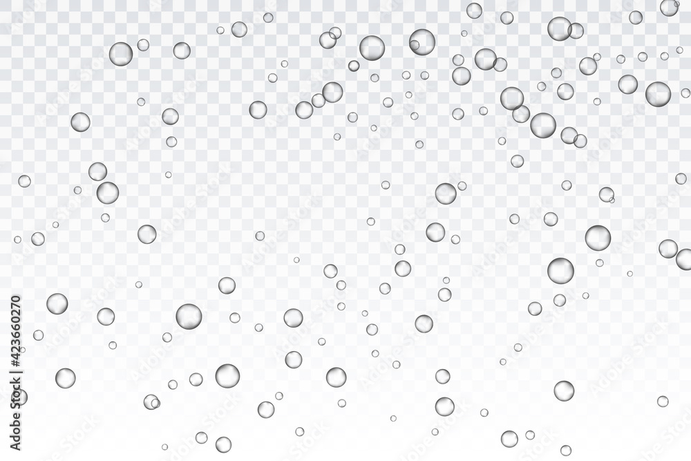 Air bubbles, oxygen, champagne crystal clear, isolated on a transparent background of modern design. Vector illustration of EPS 10.