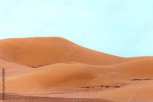 Bend of the ridge of a sand dune in the desert