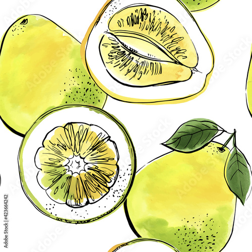 Citrus sketch pattern. Drawing in ink and watercolors on a white background.