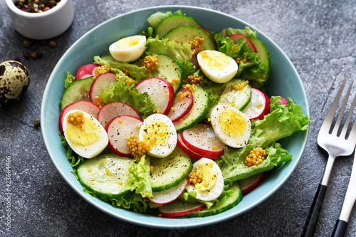 Vegetable, fresh salad with radish, egg and salad leaves in a blue plate on a concrete background.