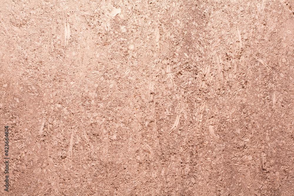 Foto de sedimentary rock, shell rock is a natural rock, a sedimentary ...