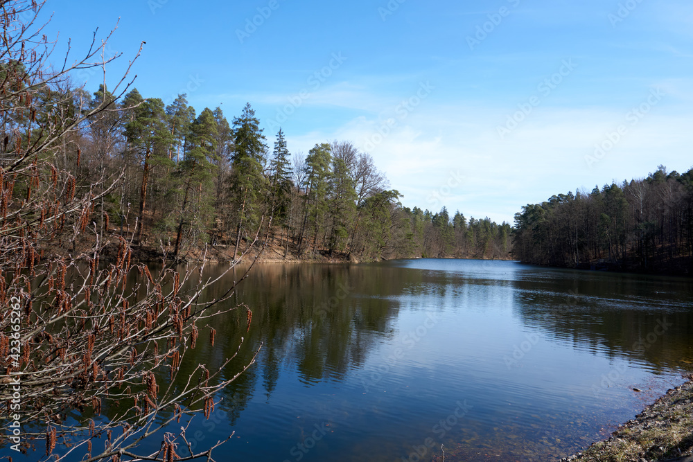 small lake in the forest with sunshine and under blue sky