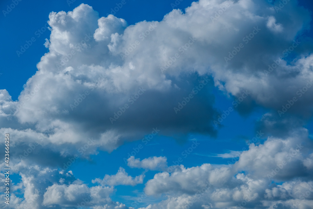 Fototapeta premium blue sky and white clouds