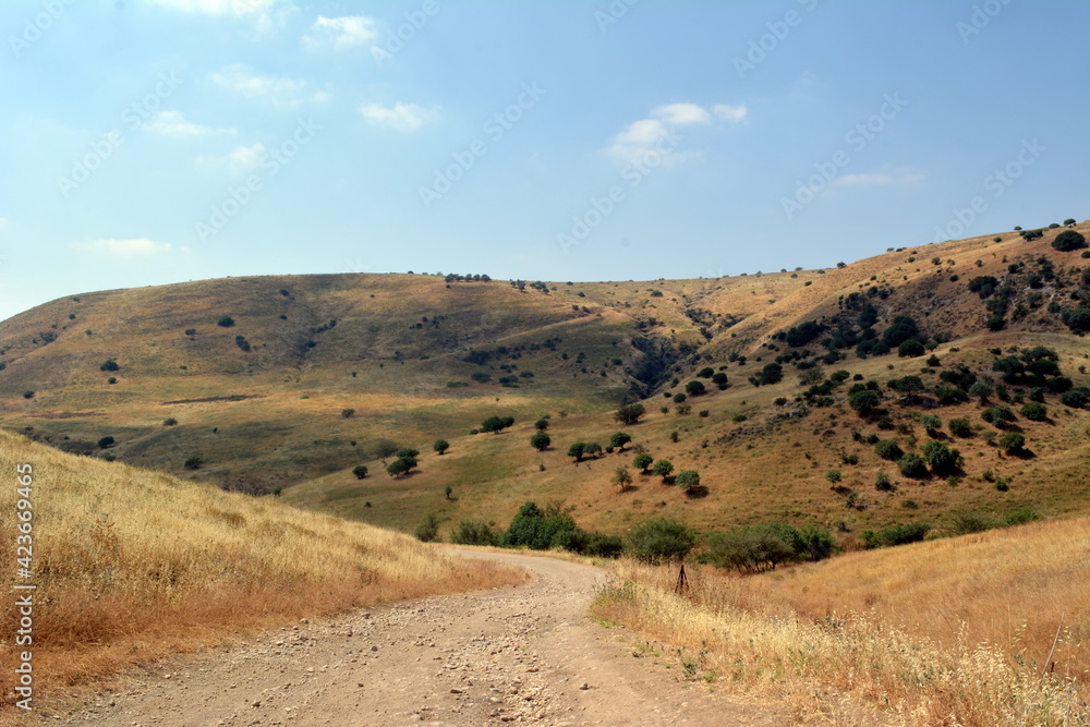 View on Golan Heights at hot summer day